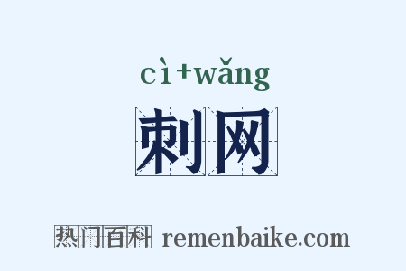 刺网是什么意思的图片
